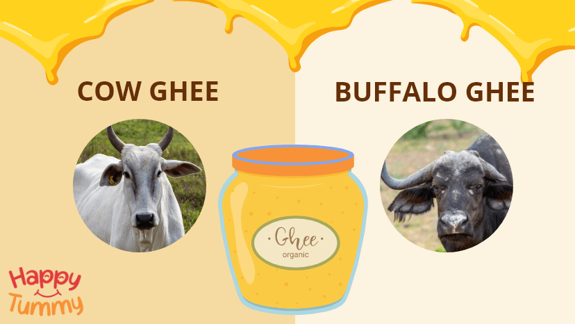 Cow Ghee Vs. Buffalo Ghee