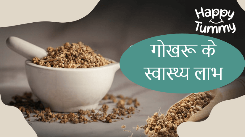 गोखरू के स्वास्थ्य लाभ (Gokhru Health Benefits)