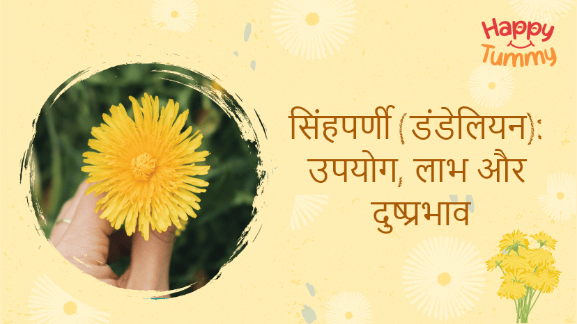 सिंहपर्णी : उपयोग, लाभ और दुष्प्रभाव (Dandelion benefits in Hindi)