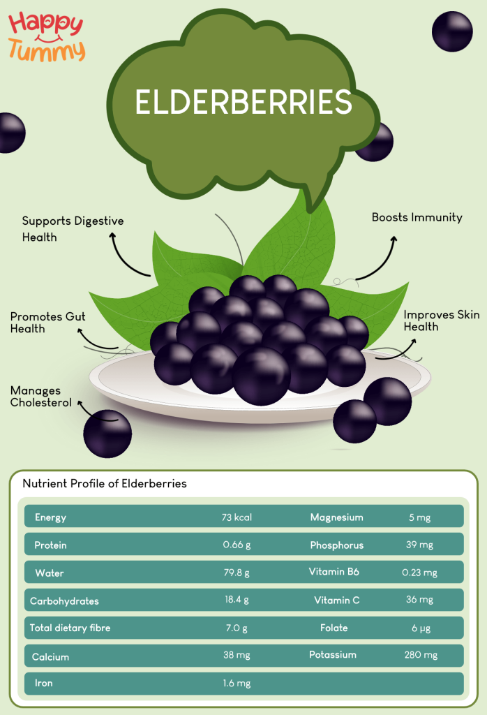 Exceptional Health Benefits of Elderberries You Need to Know
