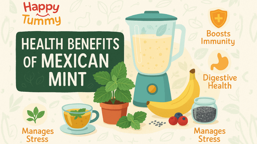 Mexican Mint: Health Benefits and Uses to Know