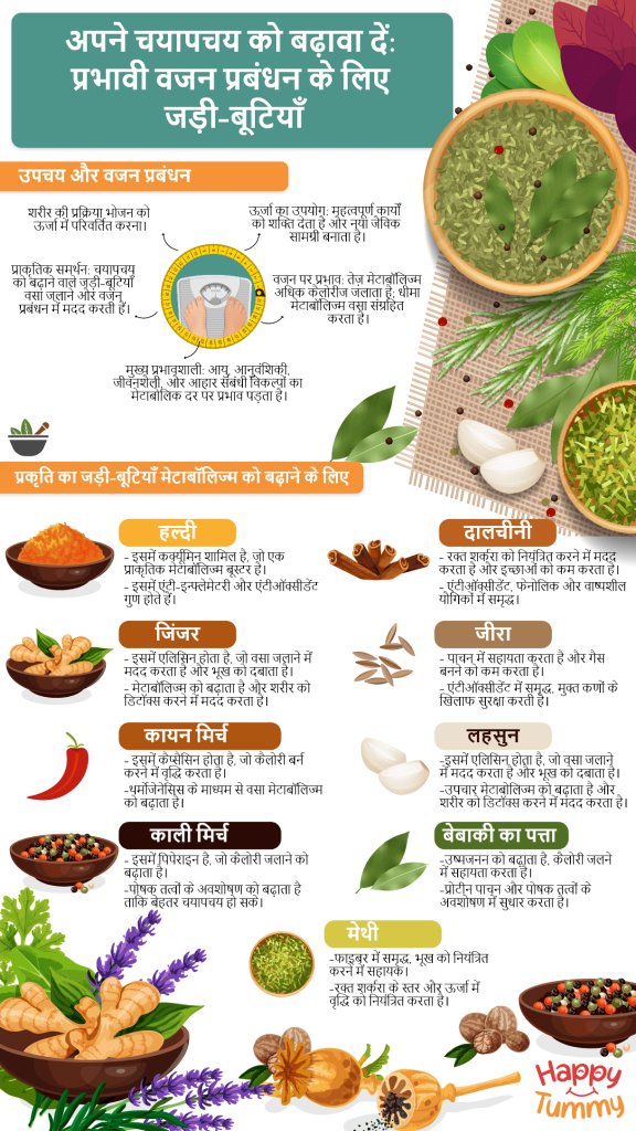 चयापचय (Metabolism) को समझना और वजन घटाने में इसकी भूमिका
