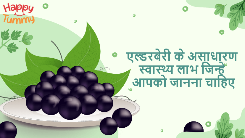 एल्डरबेरी/बड़बेरी के फायदे और नुकसान (Elderberry in Hindi)