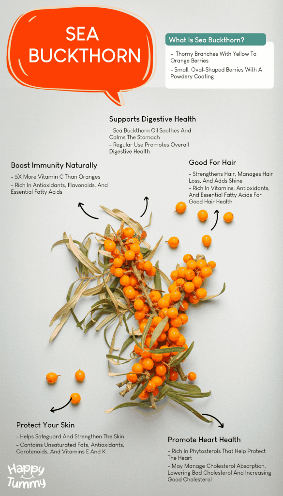 Sea Buckthorn: The Vitamin-C-Rich Berry You Have Been Missing