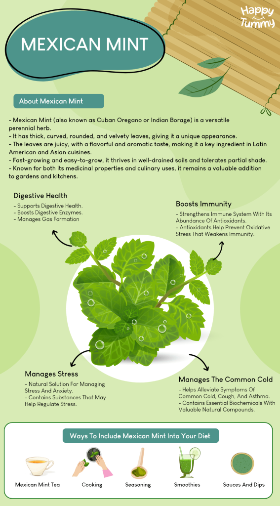 Health benefits of Mexican Mint