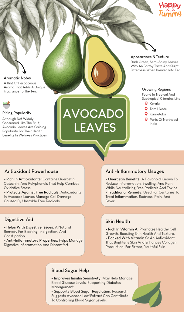 Health Benefits of Avocado Leaves