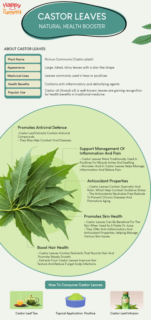 Health Benefits of Castor Leaves