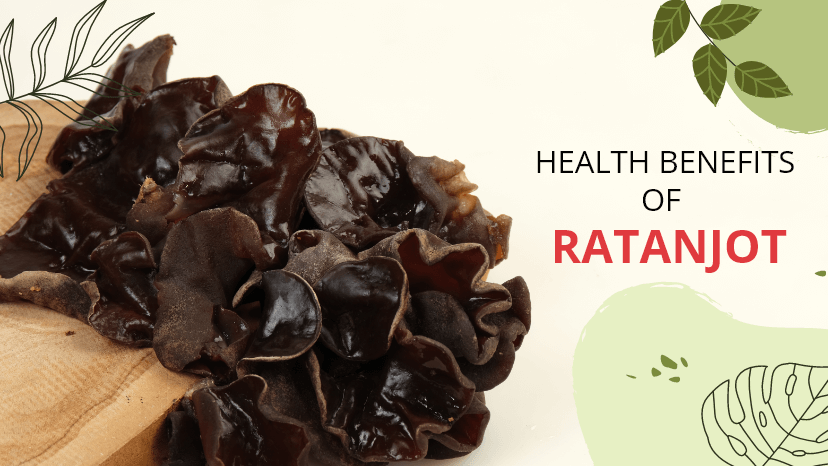 Health Benefits of Ratanjot and how to use