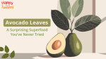 Health Benefits of Avocado Leaves
