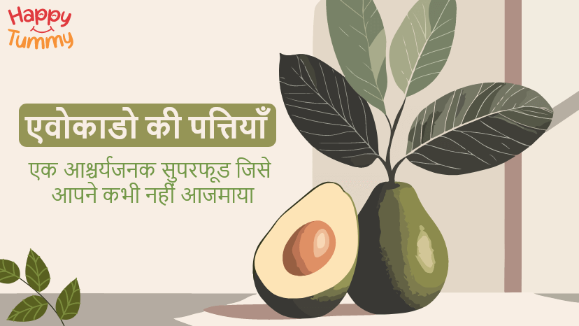 एवोकाडो के पत्तों के फायदे (Health Benefits of Avocado Leaves)