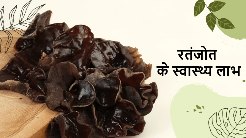 रतनजोत के स्वास्थ्य लाभ और उपयोग विधि