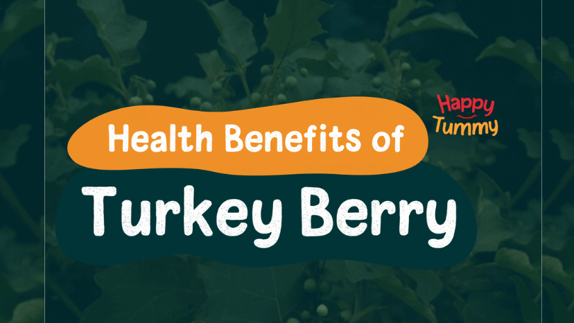 Health Benefits of Turkey Berry: Nature’s Ultimate Superfood