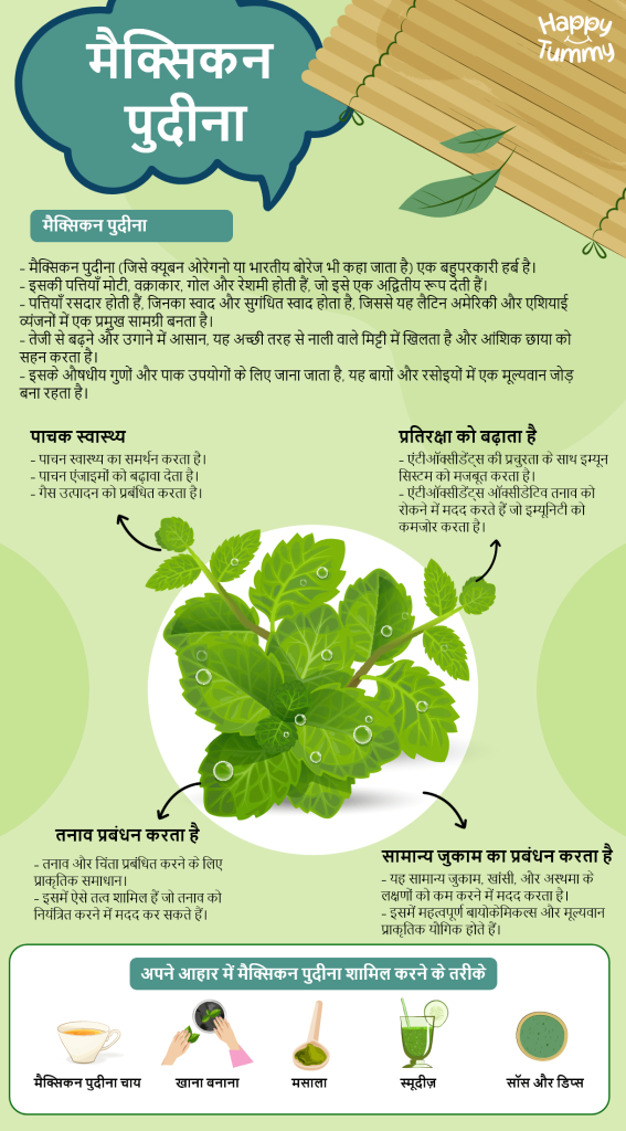 मैक्सिकन पुदीना स्वास्थ्य लाभ 