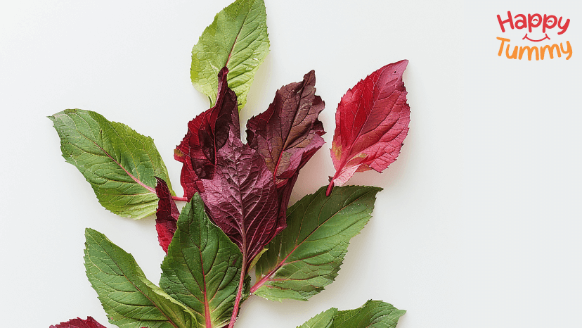 अमरनाथ के पत्ते (4.5 से 5.5 ग्राम)