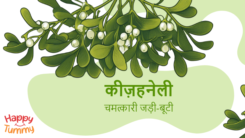 कीज़ानेल्ली: चमत्कारी जड़ी-बूटी और स्वास्थ्य लाभ (Keezhanelli in Hindi)