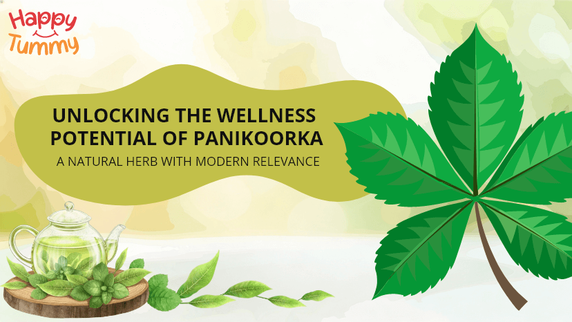 Panikoorka Health Benefits: A Natural Herb with Modern Relevance