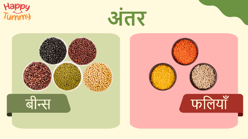 बीन्स और फलियां के बीच अंतर