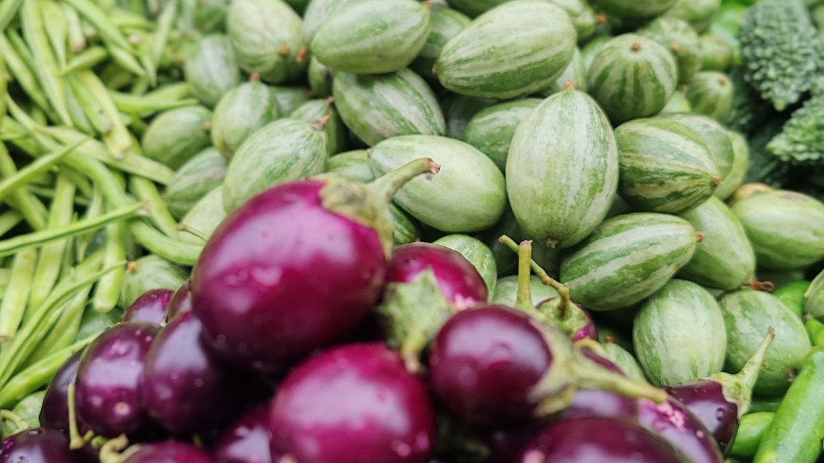 Do You Still Need Veggies If Your Khapli Roti Has Fibre?