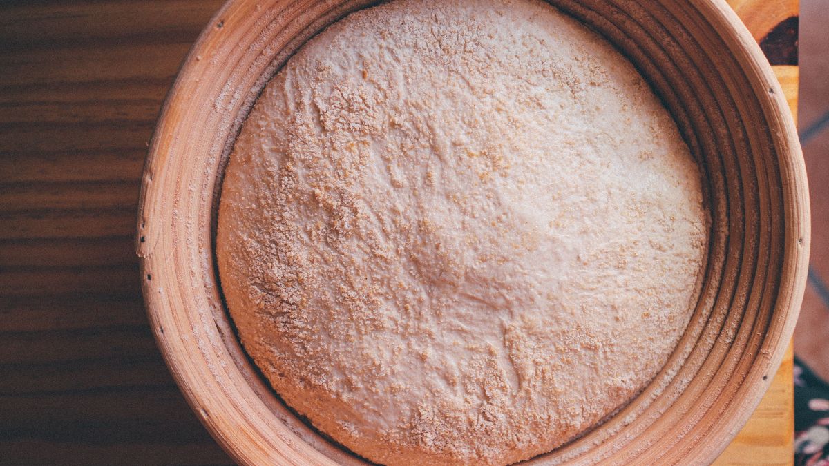 The Roti Test: What Makes Khapli Atta Work in an Indian Kitchen?