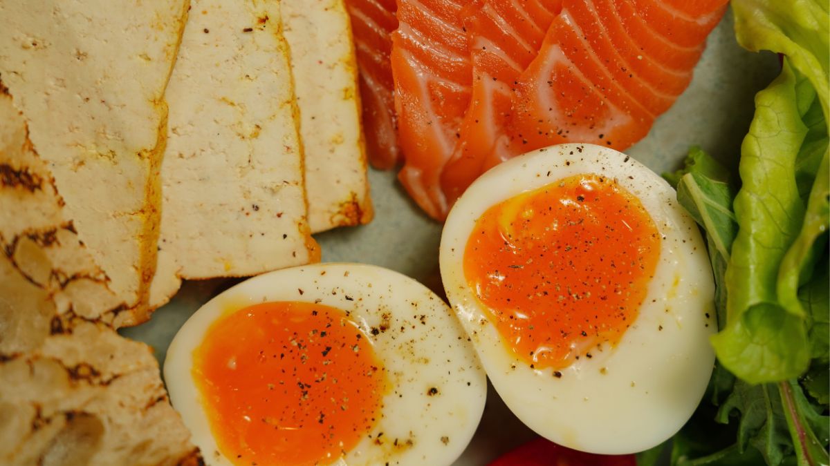 High-Protein But Low-Fibre Edition: When the Gut Needs More Than Just Protein