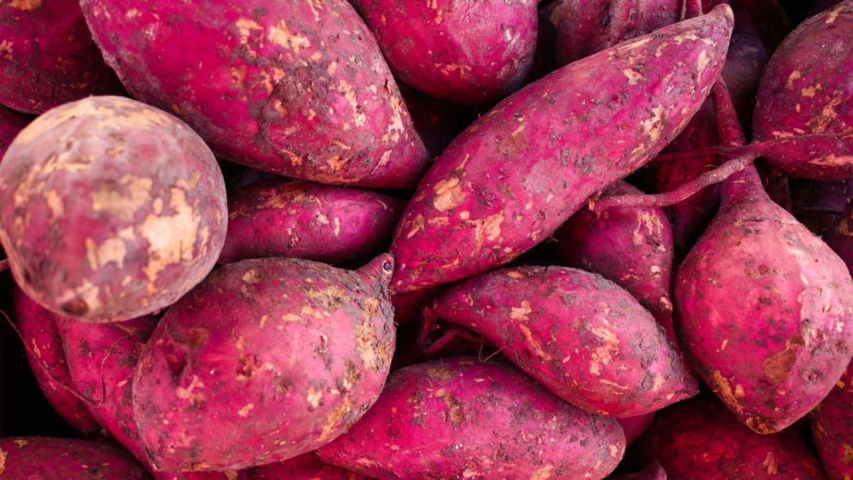 Sweet Potato for Gut Health: Fibre Benefits and the Honest Science