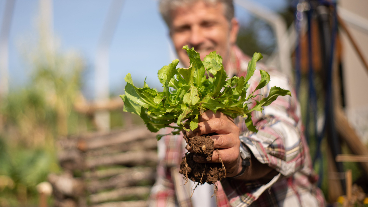 30 Plants a Week: What the Gut Health Research Says