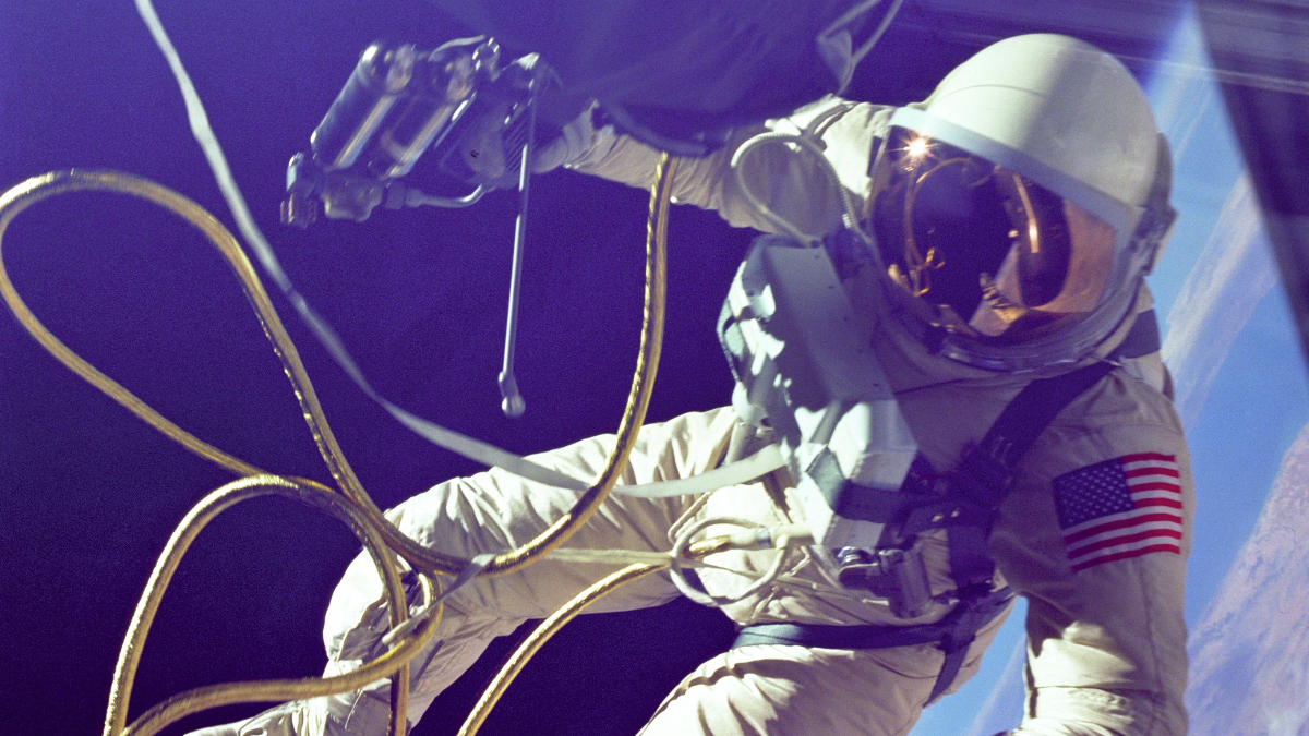 What Happens to Your Gut in Space? A Study of 52 Astronauts Offers Clues